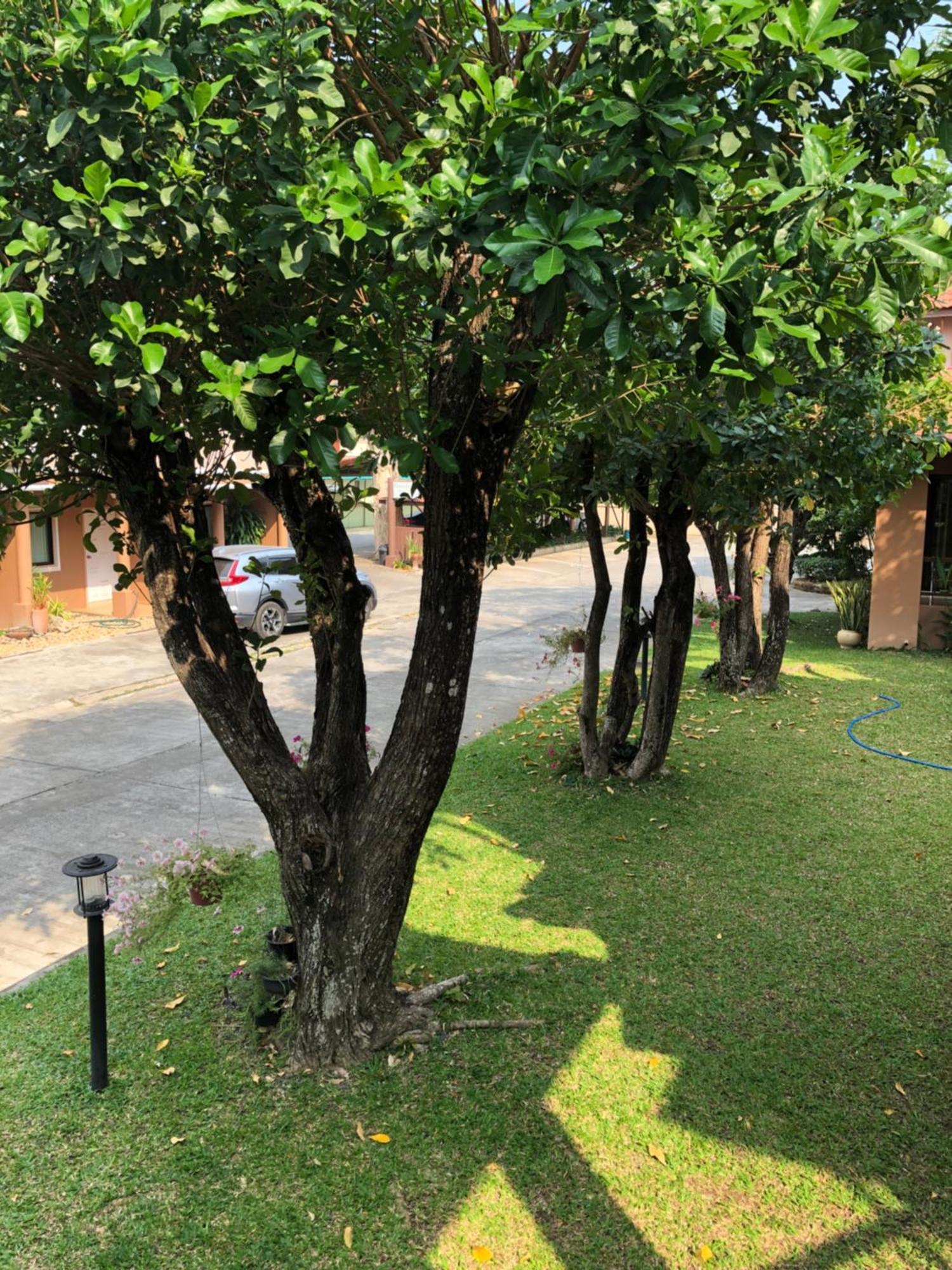 Areena Resort And Hotel Uttaradit Exterior photo